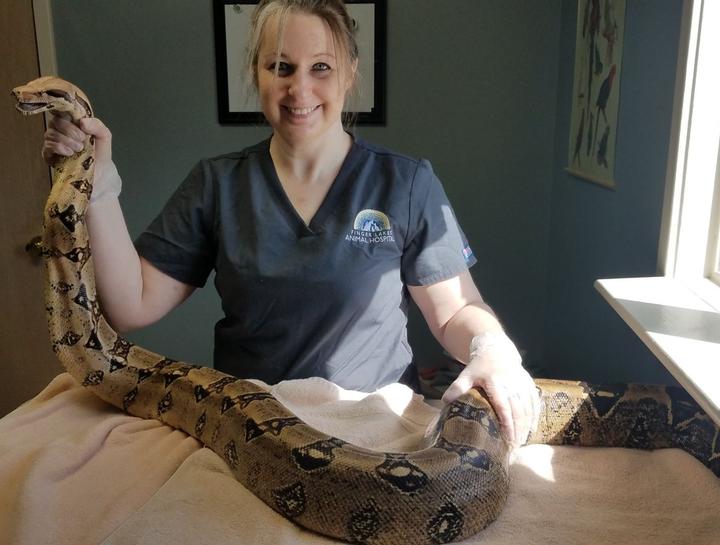 Canandaigua Exotic Vet Reptile Vet